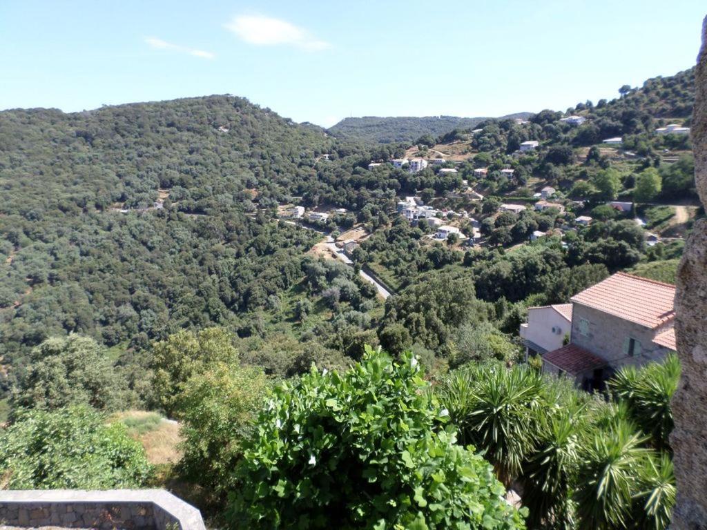 Appartement De Charme Entre Mer Et Montagne Sollacaro Kültér fotó